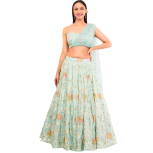 Mint Green Embroidery Work Lehenga Set