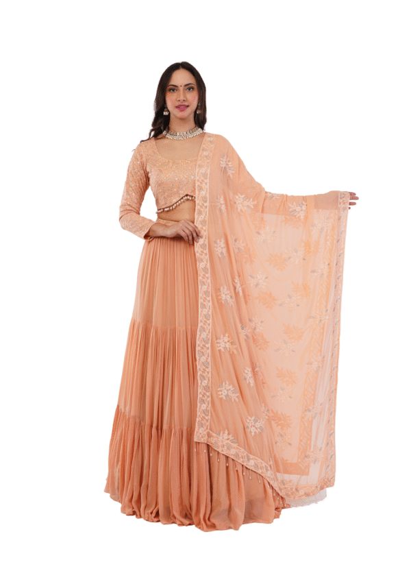 Luxury Georgette Embroidered Lehenga Set - Image 6