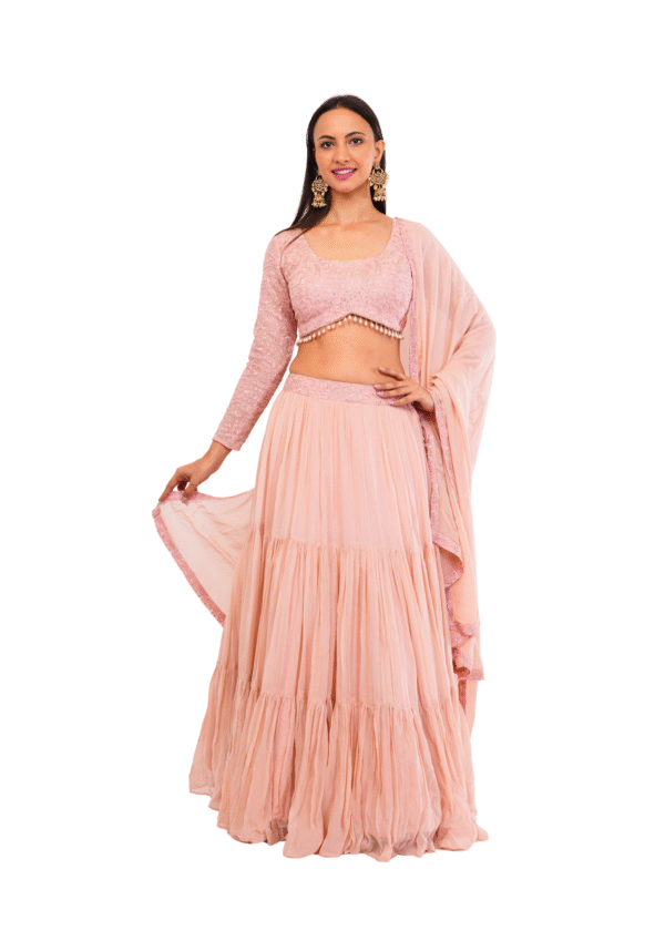 Luxury Georgette Embroidered Lehenga Set - Image 10