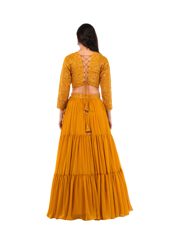 Luxury Georgette Embroidered Lehenga Set - Image 15