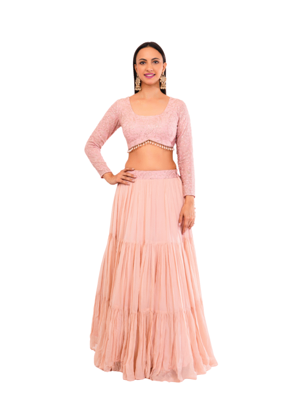 Luxury Georgette Embroidered Lehenga Set - Image 12