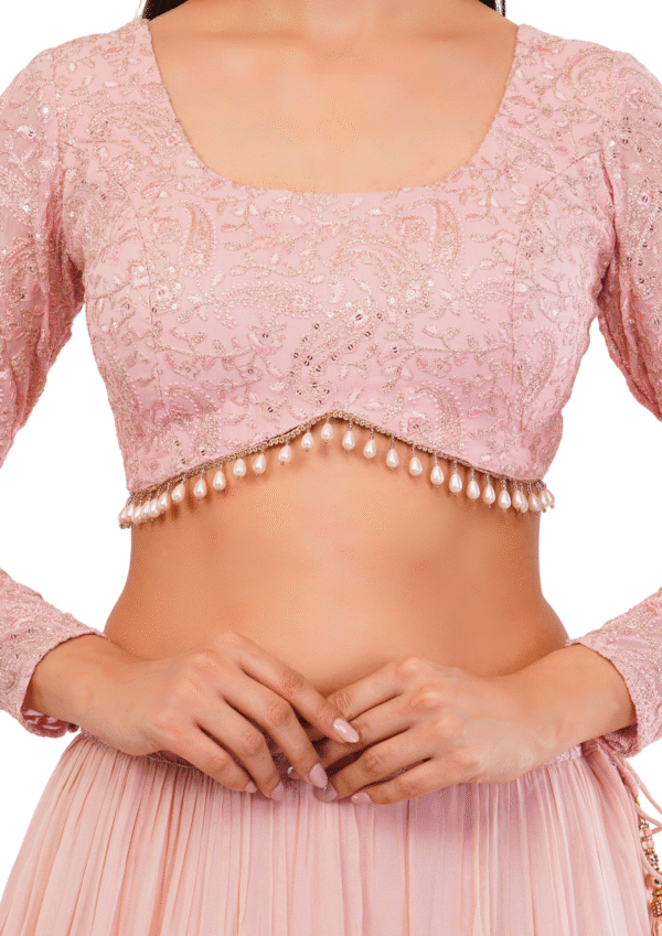 Luxury Georgette Embroidered Lehenga Set - Image 11