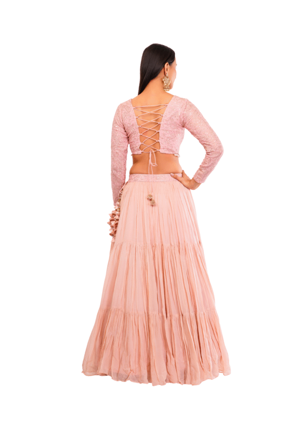Luxury Georgette Embroidered Lehenga Set - Image 12