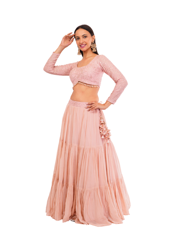 Luxury Georgette Embroidered Lehenga Set - Image 15