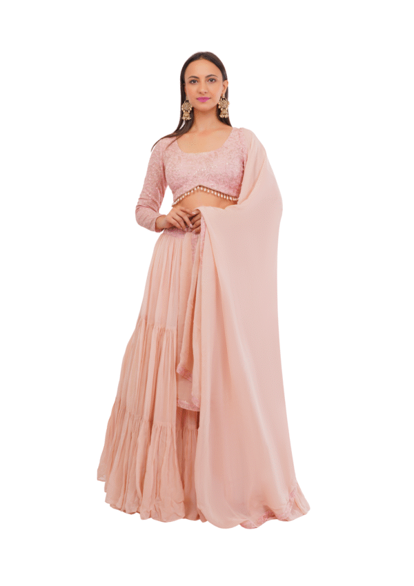 Luxury Georgette Embroidered Lehenga Set - Image 13