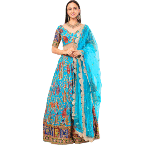 Crepe Embroidered Lehenga Outfit