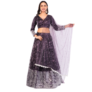 Luxury Sequin Lehenga Set