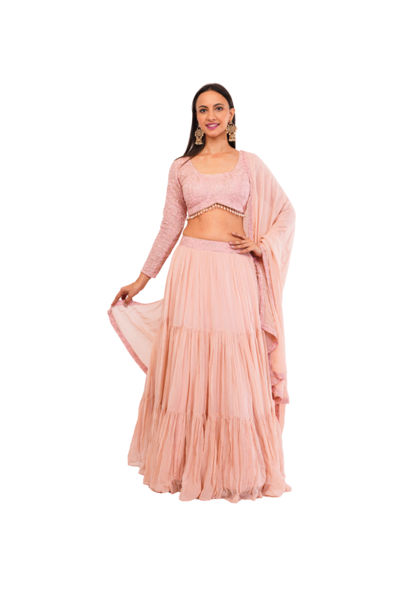 Luxury Georgette Embroidered Lehenga Set