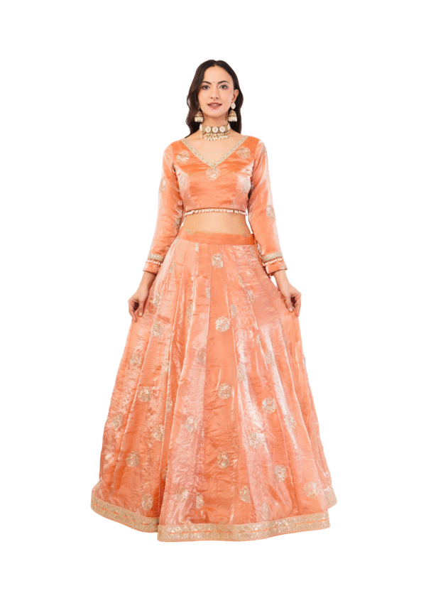 Royal Embroidered Zimmy choo Lehenga - Image 2