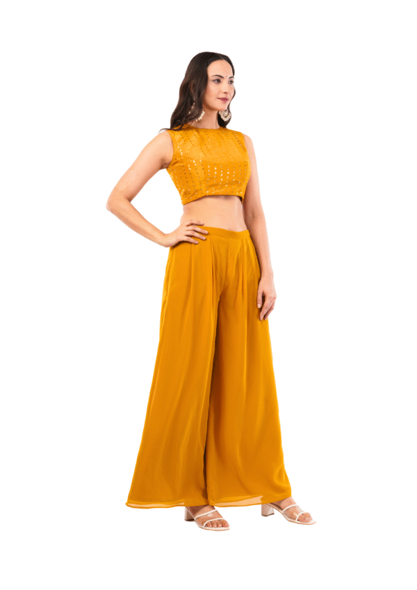 Three-Piece Mirror Work Ethnic Ensemble - Image 4