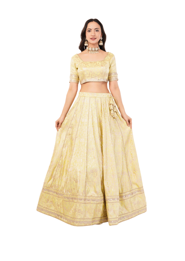 Royal Banarasi Embroidered Lehenga Set - Image 4