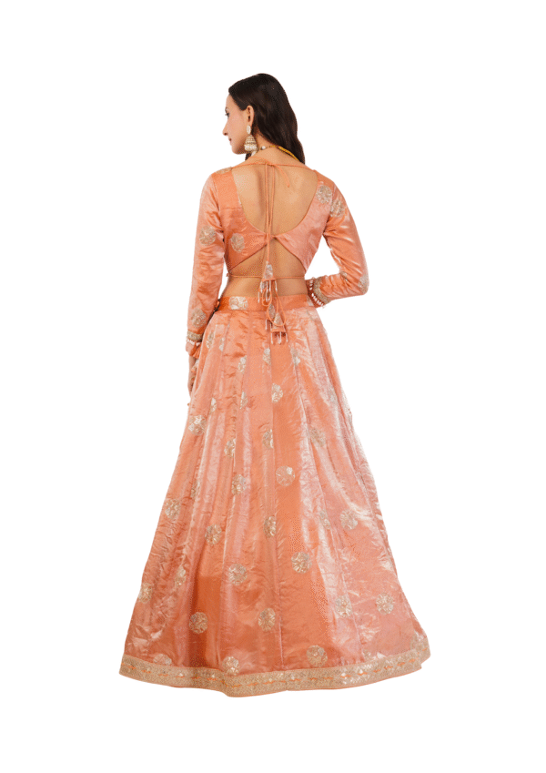 Royal Embroidered Zimmy choo Lehenga - Image 3