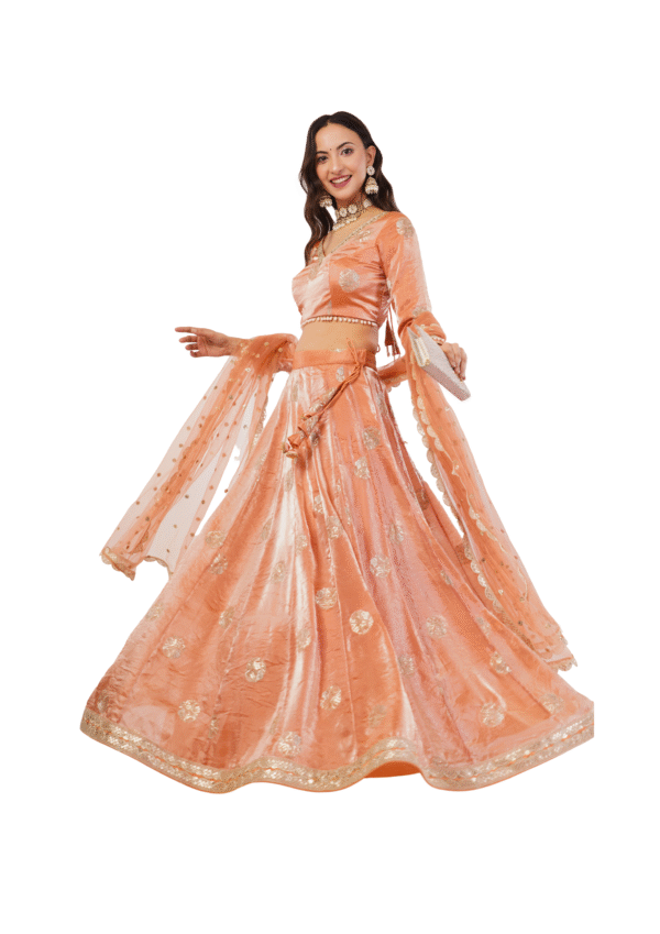 Royal Embroidered Zimmy choo Lehenga - Image 4