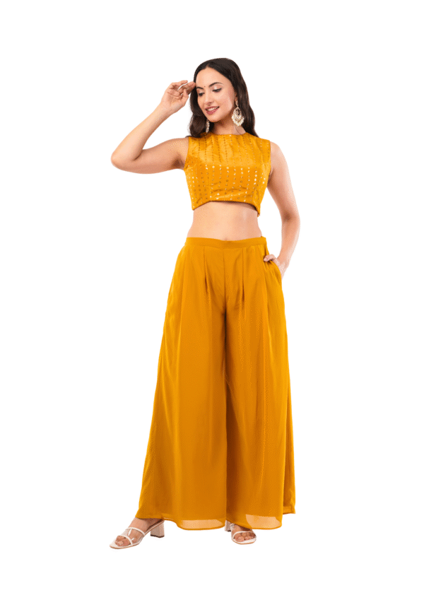 Three-Piece Mirror Work Ethnic Ensemble - Image 18