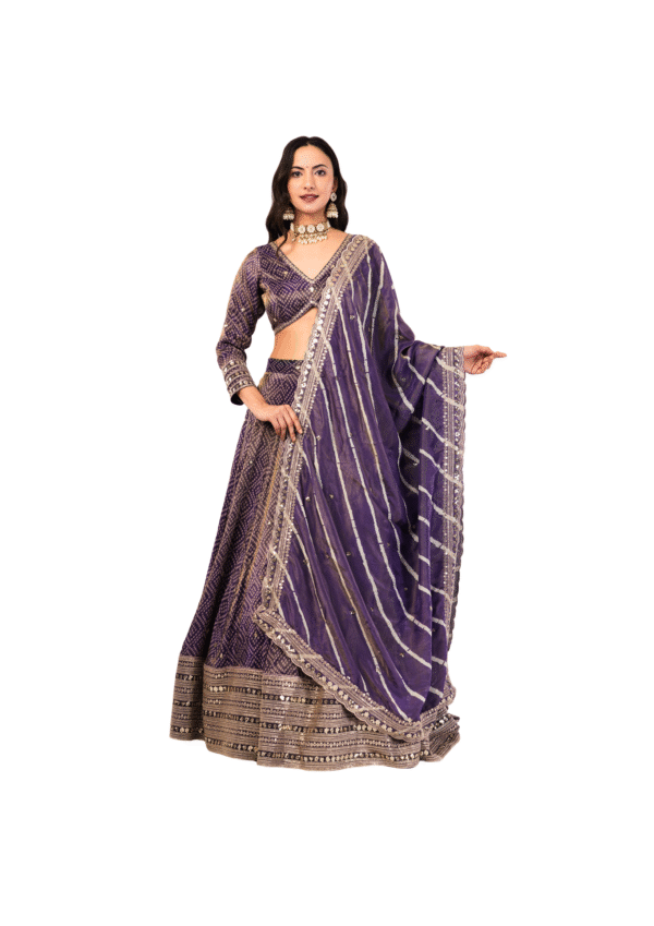 Bandhani Embroidered Lehenga Outfit