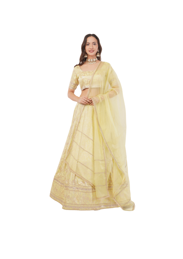 Royal Banarasi Embroidered Lehenga Set